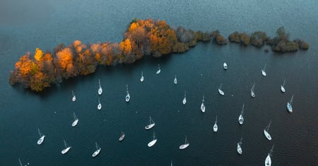 A bunch of boats gathering near each other in the open water